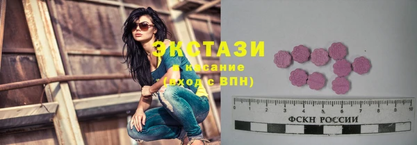индика Мурманск