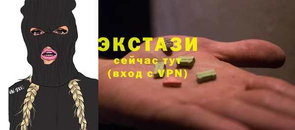 молекула духа Медвежьегорск