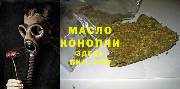 молекула духа Медвежьегорск